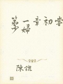 第一章初尝极品少妇