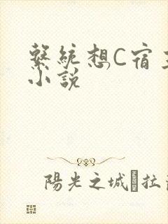 系统想C宿主的小说