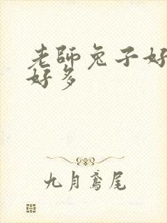 老师兔子好软水好多封面