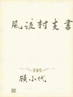 风流村支书封面