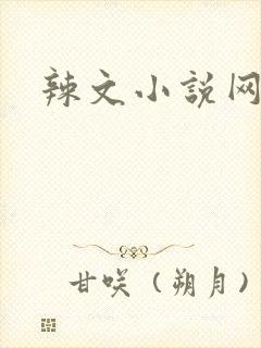 辣文小说网封面