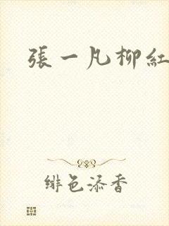 张一凡柳红