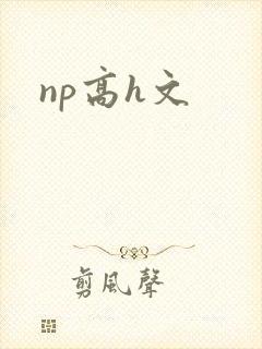 np高h文封面