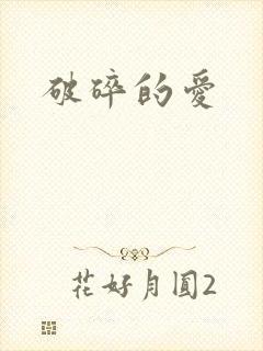 破碎的爱封面