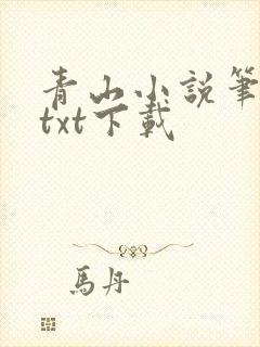 青山小说笔趣阁txt下载
