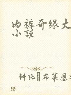 内裤奇缘大团结小说