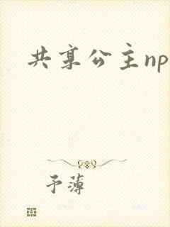 共享公主npc