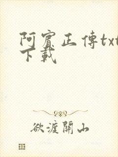 阿宾正传txt下载