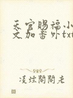 天官赐福小说全文加番外txt