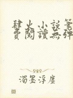 肆火小说笔趣免费阅读无弹窗