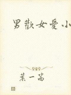 男欢女爱小说