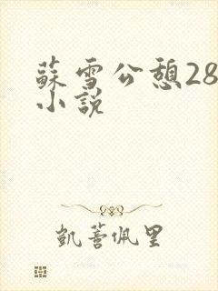 苏雪公憩28篇小说封面