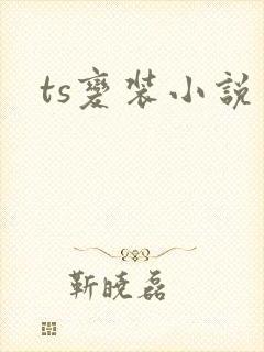 ts变装小说