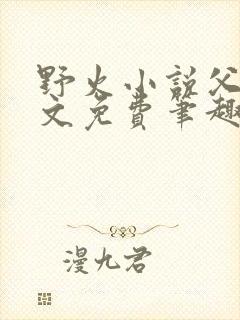 野火小说父女全文免费笔趣阁