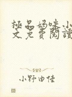 极品妈咪小说全文免费阅读封面