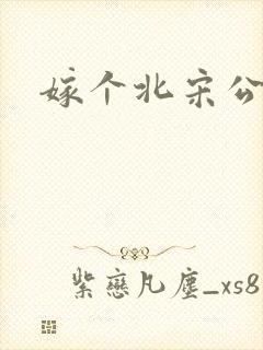 嫁个北宋公务员