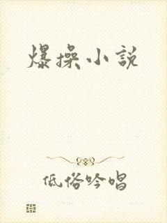 爆操小说