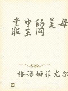 掌中的美母第一版主网封面