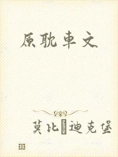 原耽车文