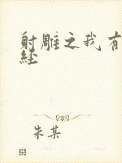 射雕之我有太玄经封面