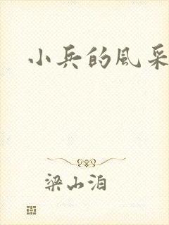 小兵的风采封面