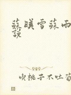 苏映雪苏雨柔小说