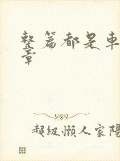 整篇都是车的文章