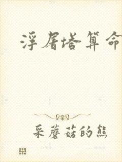 浮屠塔算命封面