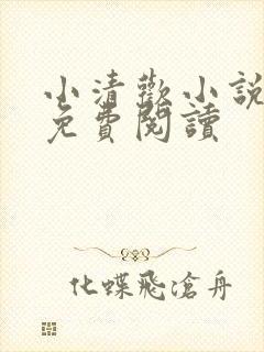 小清欢小说全文免费阅读封面