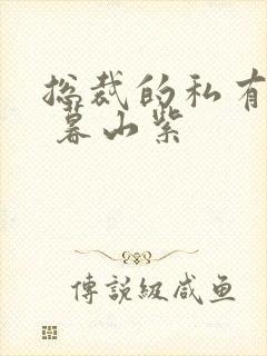 总裁的私有宝贝 暮山紫