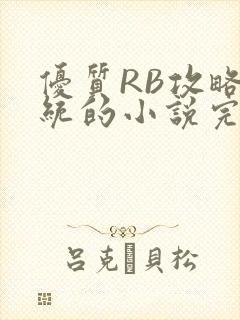 优质RB攻略系统的小说完整版封面