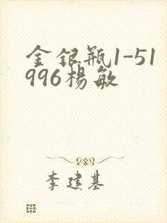 金银瓶1-51996杨敏封面