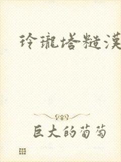 玲珑塔糙汉租客