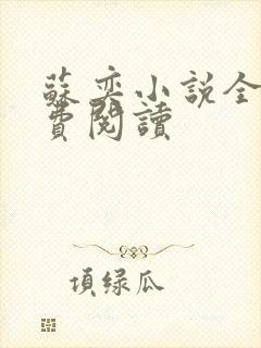 苏奕小说全文免费阅读