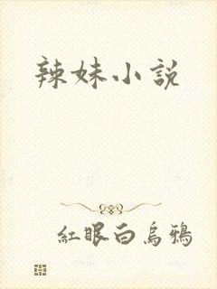 辣妹小说