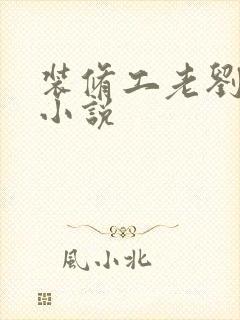 装修工老刘林雪小说