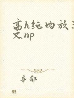 高h纯肉放荡h文np