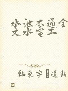 水泄不通金银原文水电工