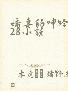 娇妻的呻吟1—28小说