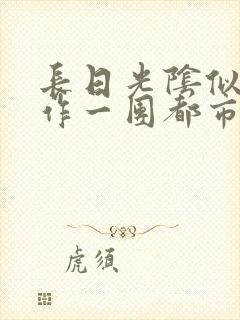 长日光阴似箭乱作一团都市言情封面