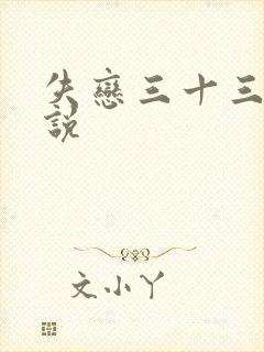 失恋三十三天小说