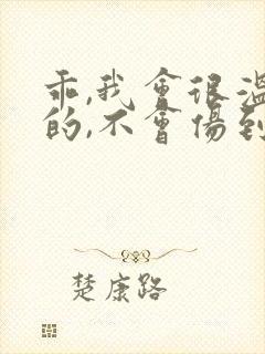 乖,我会很温柔的,不会伤到你小说封面