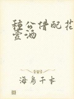 种公借配花间一壶酒