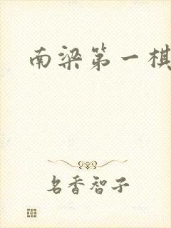 南梁第一棋手封面