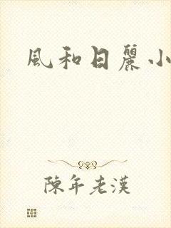 风和日丽小说