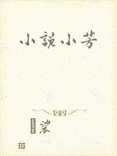 小说小芳