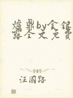 炉鼎by金银花露全文免费阅读笔趣阁