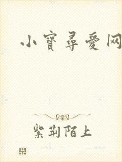 小宝寻爱网封面