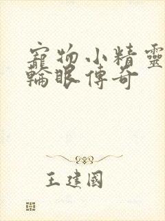 宠物小精灵之写轮眼传奇封面