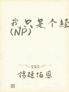 我只是个经纪人(NP)